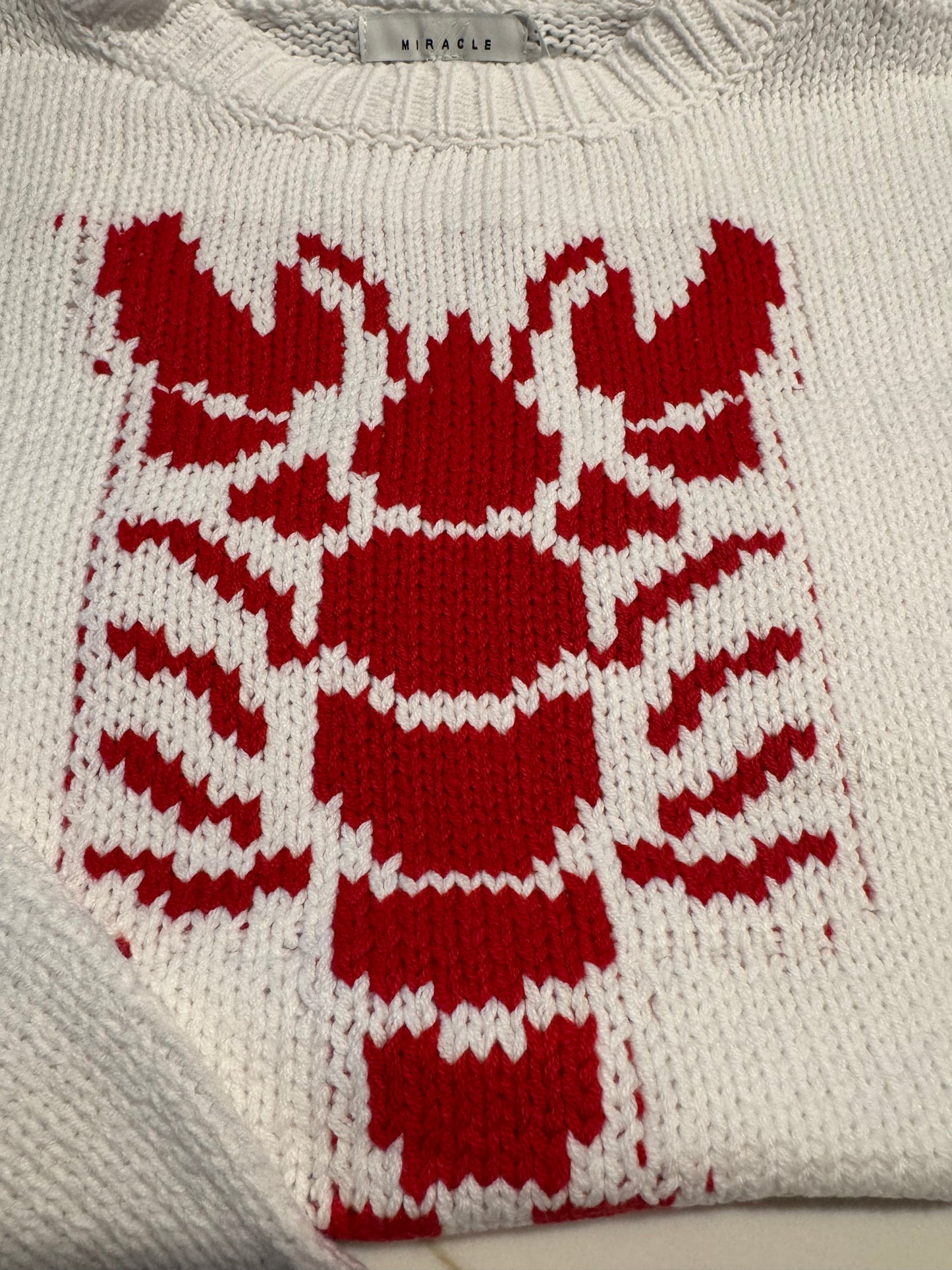 Lobster Time Sweater