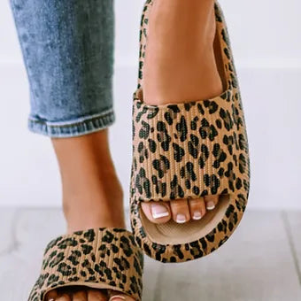 Leopard Cloud Slides