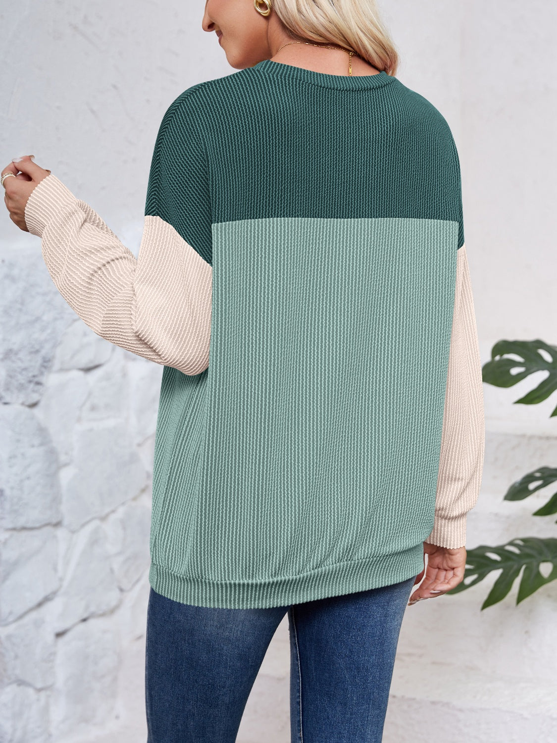 Color Block Long Sleeve Sweatshirt