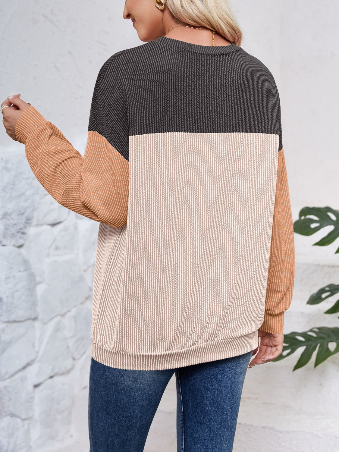 Color Block Long Sleeve Sweatshirt