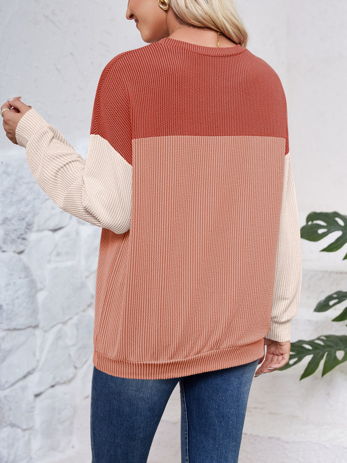 Color Block Long Sleeve Sweatshirt