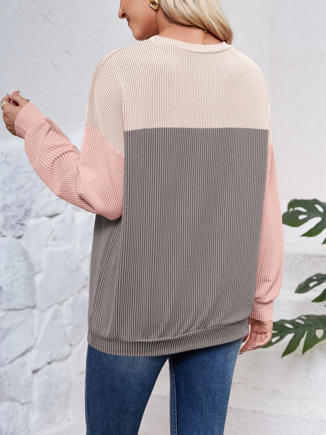 Color Block Long Sleeve Sweatshirt