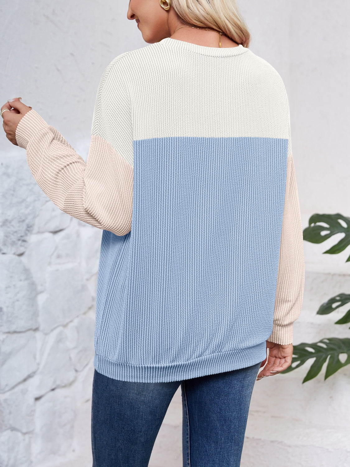 Color Block Long Sleeve Sweatshirt