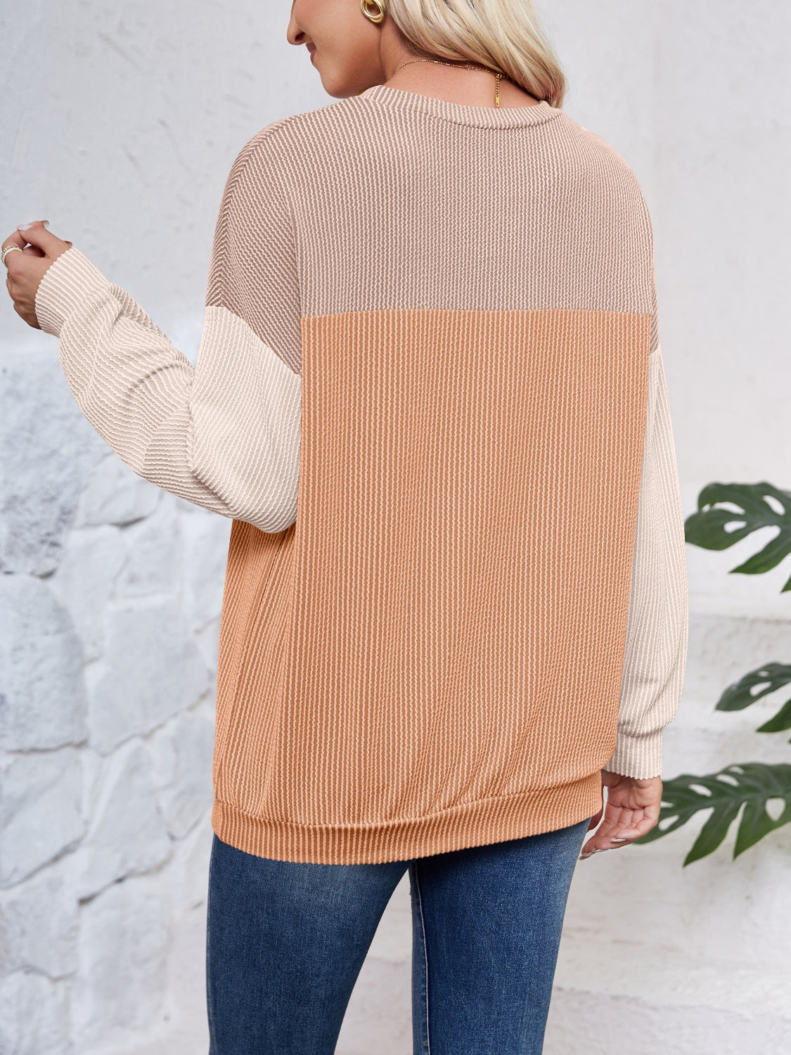 Color Block Long Sleeve Sweatshirt